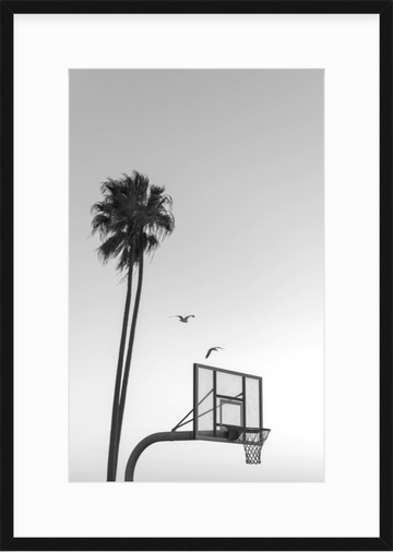 2 birds (black & white)
