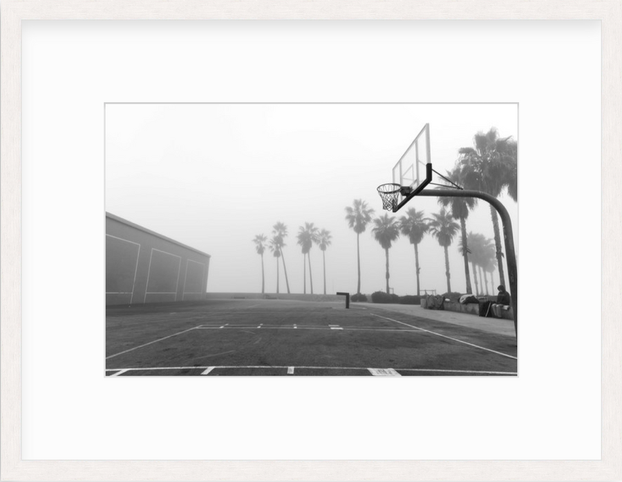 palms in fog